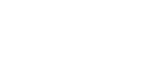 The Elastic Network